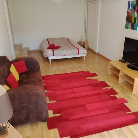 דירה D'une Avec Terrasse Et Wifi A Charensac